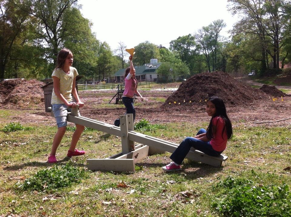 Children playing on a seesaw in a sunny park, with a background of trees and a compost pile. Two girls are seated on the seesaw while another girl stands nearby, holding a yellow object. The scene captures a joyful outdoor activity in a natural setting.