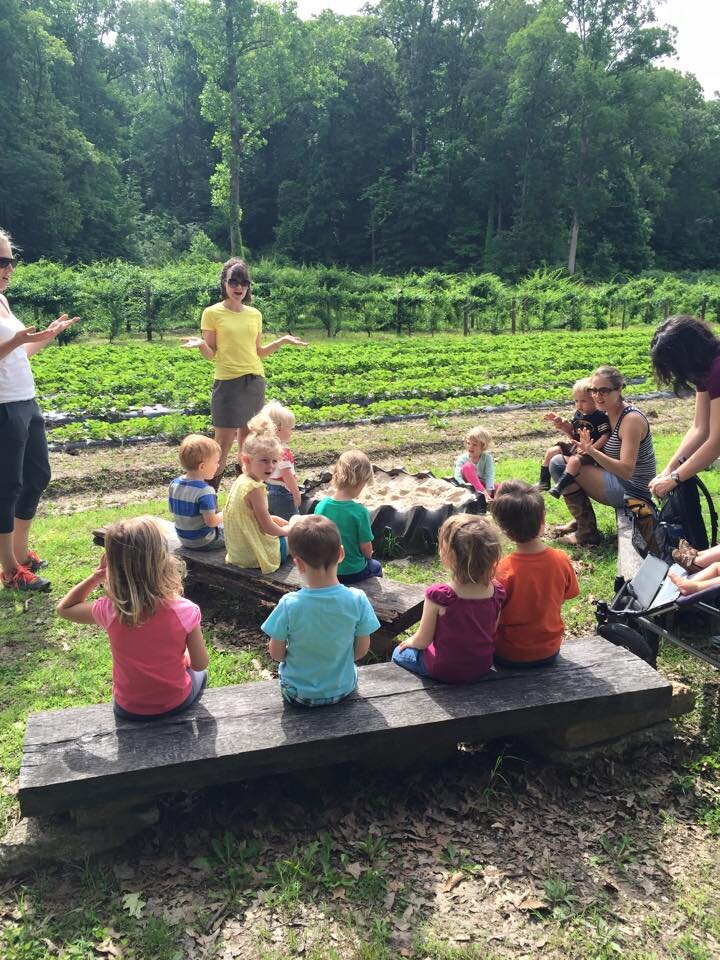 Children participating in an outdoor educational activity, sitting on benches in a garden setting, with a teacher engaging them in learning about nature and gardening. Lush greenery and rows of plants are visible in the background, creating a vibrant, natural environment for hands-on learning.