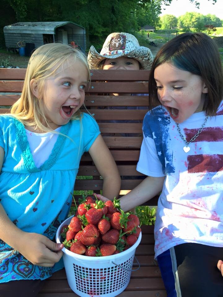 Two excited girls sitting on a bench, holding a basket overflowing with fresh strawberries, with a smiling child peeking from behind. The scene captures a joyful moment in a sunny outdoor setting, perfect for summer activities and family fun.