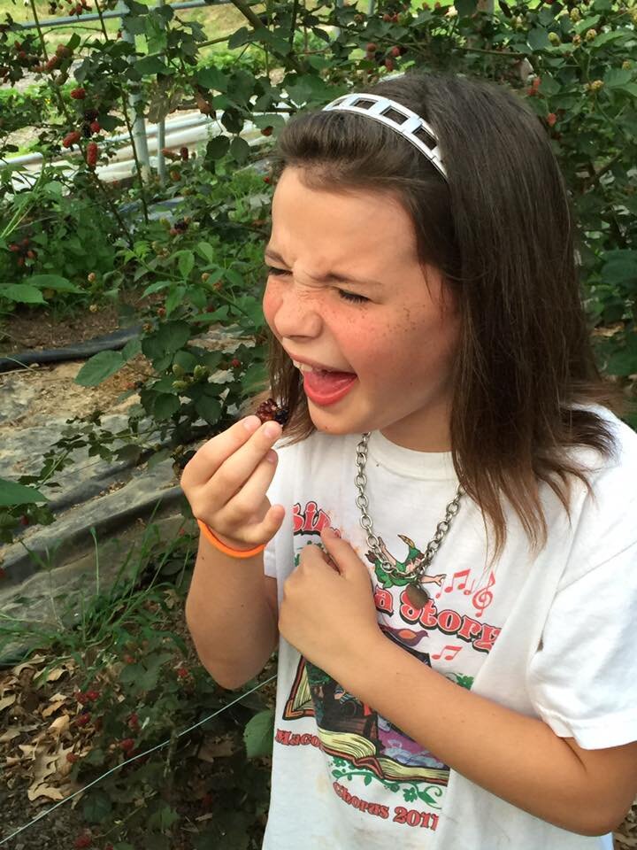 Young girl tasting fresh berries while standing in a berry farm, surrounded by lush greenery and berry plants, showcasing a moment of joy and discovery in nature.