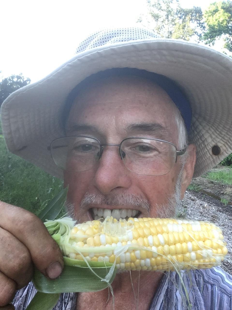 Man smiling while holding a fresh ear of corn, ready to eat, wearing a wide-brimmed hat in a sunny outdoor setting.