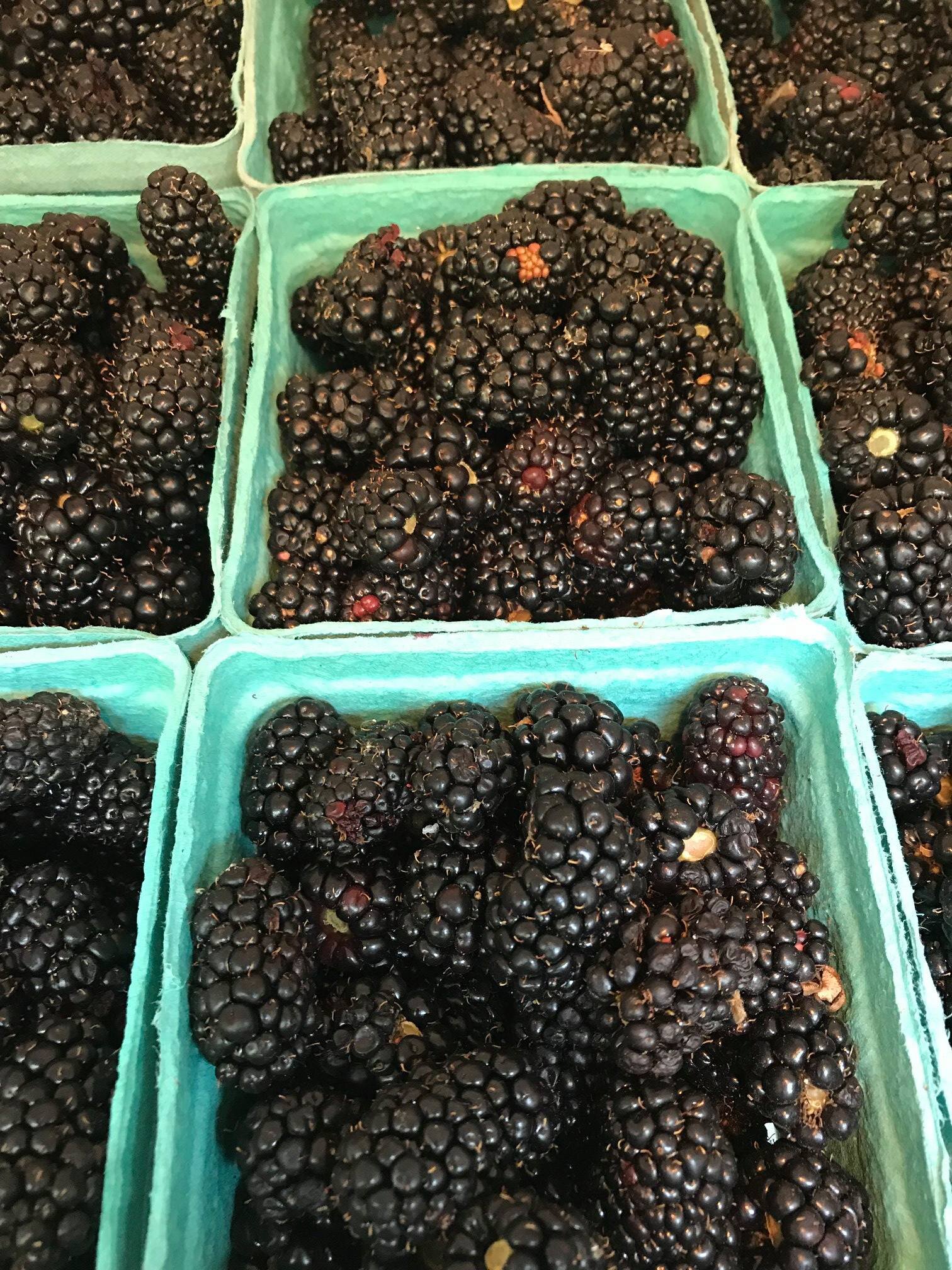 Fresh blackberries displayed in green berry baskets at a farmers market, showcasing their rich color and texture. Ideal for healthy snacks, smoothies, and desserts.