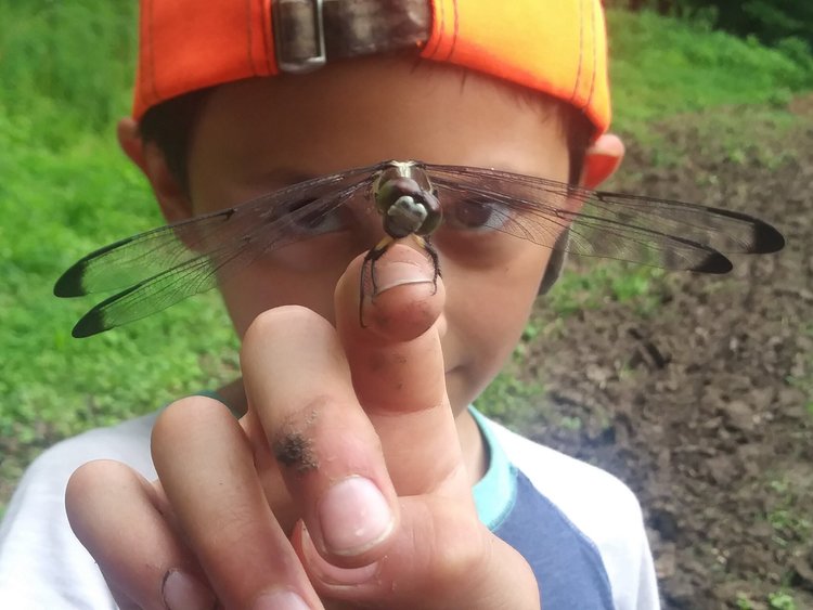 Child holding a dragonfly on their finger, wearing an orange cap, with a blurred green background of foliage.
