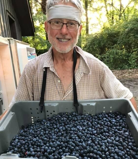 Smiling elderly man holding a large container filled with freshly picked blueberries, surrounded by greenery in a farm setting.
