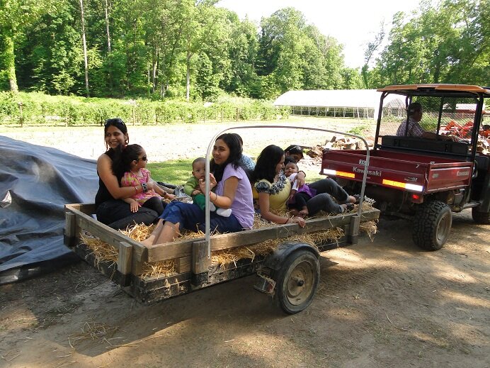 A group of children and adults enjoying a hayride on a farm, sitting in a wagon filled with straw, surrounded by lush greenery and trees on a sunny day.