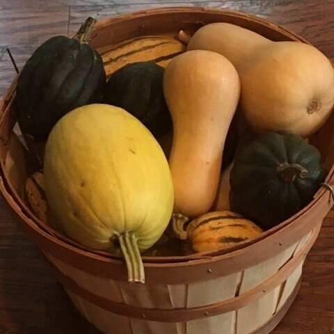 A wooden basket filled with various types of squash, including butternut, acorn, and spaghetti squash, showcasing a vibrant assortment of colors and shapes.