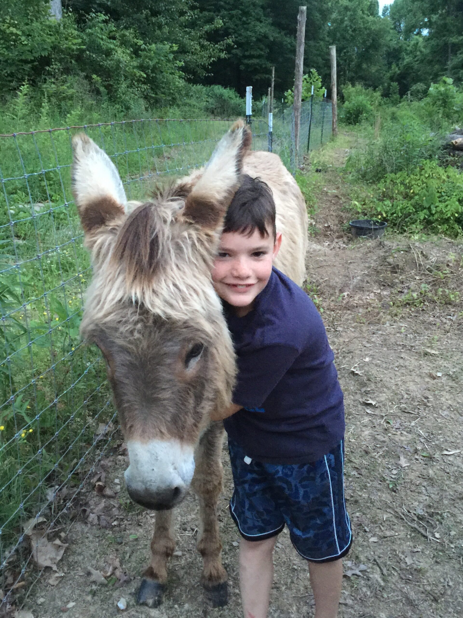A young boy smiles while hugging a friendly donkey in a lush, green outdoor setting, showcasing the bond between children and animals.