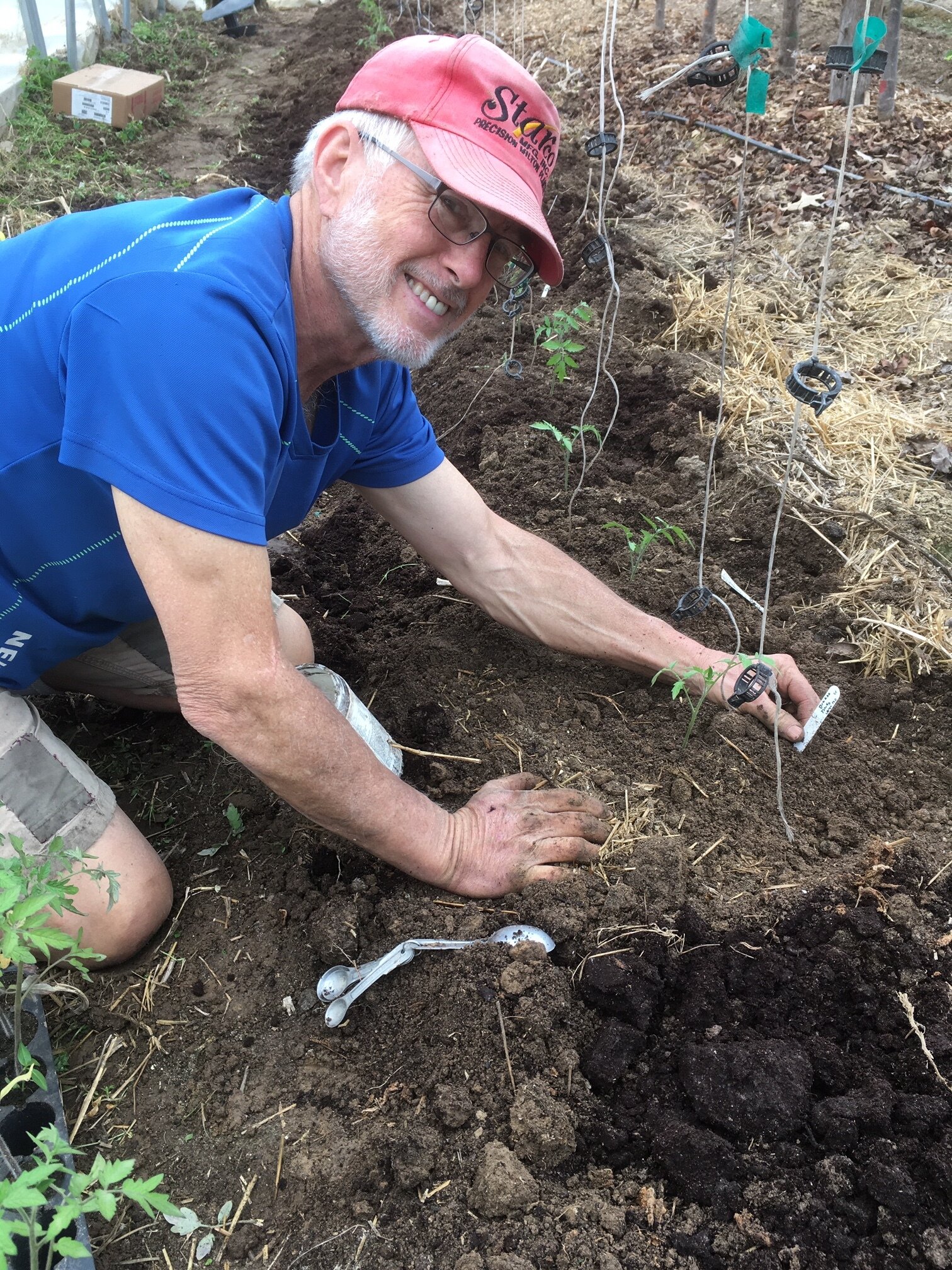 Man gardening in a vegetable plot, planting tomato seedlings and using tools for planting, surrounded by soil and stakes for support.