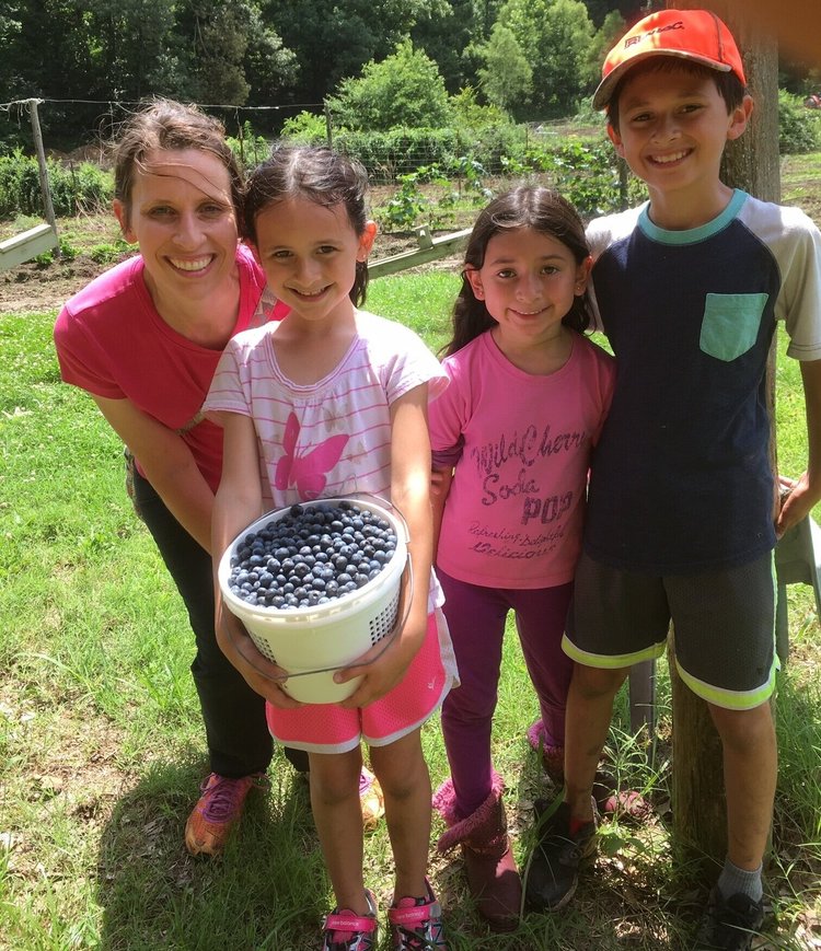 Family enjoying a day of blueberry picking, showcasing children holding a basket of fresh blueberries in a lush garden setting.